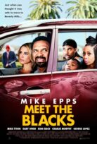 Meet the Blacks izle