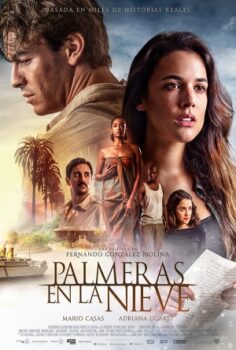 Palmeras en la nieve izle