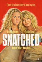 Snatched izle