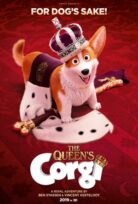 Corgi izle