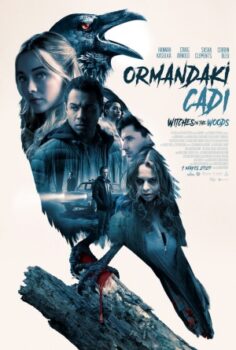 Ormandaki Cadı izle