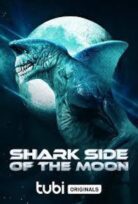 Shark Side of the Moon izle